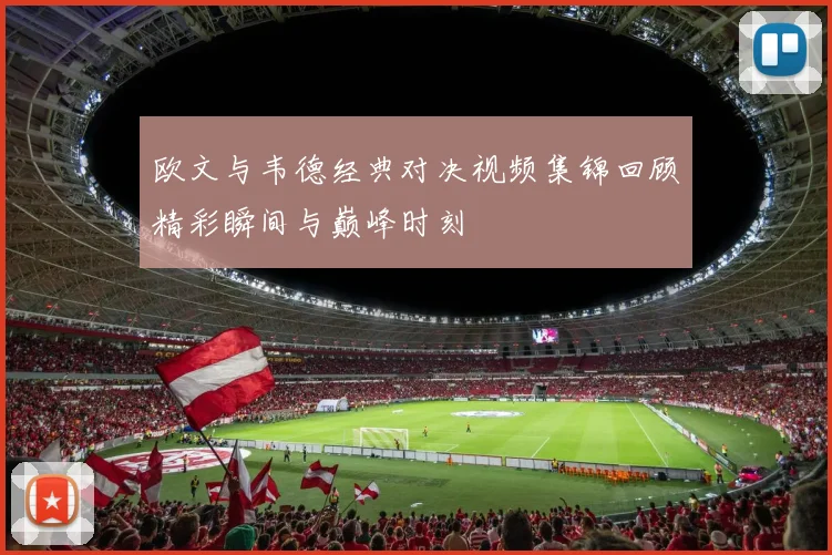 欧文与韦德经典对决视频集锦回顾精彩瞬间与巅峰时刻