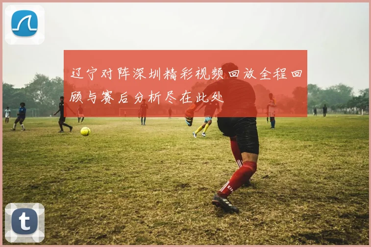 辽宁对阵深圳精彩视频回放全程回顾与赛后分析尽在此处
