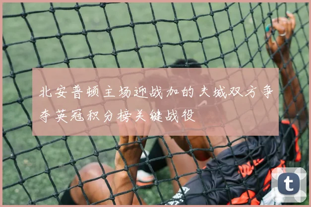 北安普顿主场迎战加的夫城双方争夺英冠积分榜关键战役