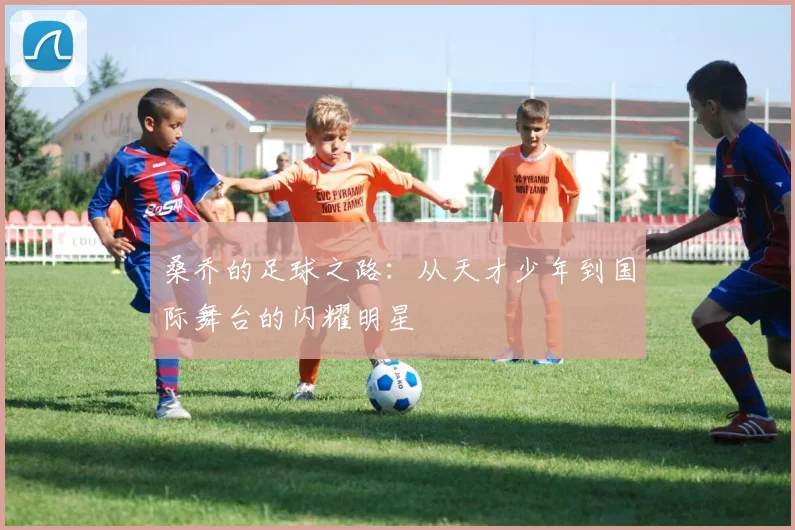 桑乔的足球之路：从天才少年到国际舞台的闪耀明星