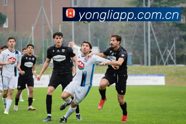 多媒体互动体验