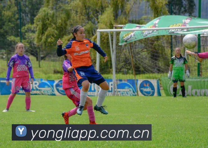 永利娱乐APP 高清赛事图